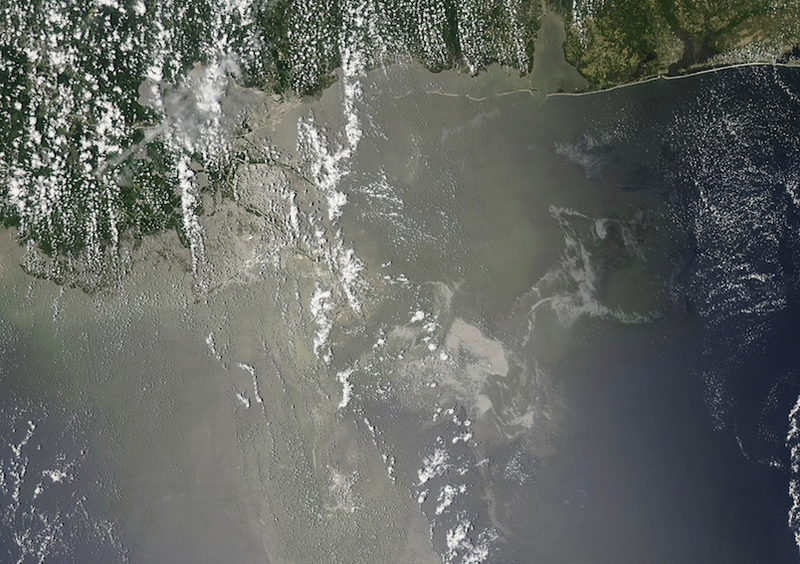 Illustration for article titled The Worst Oil Disaster in US History: How You Can Help